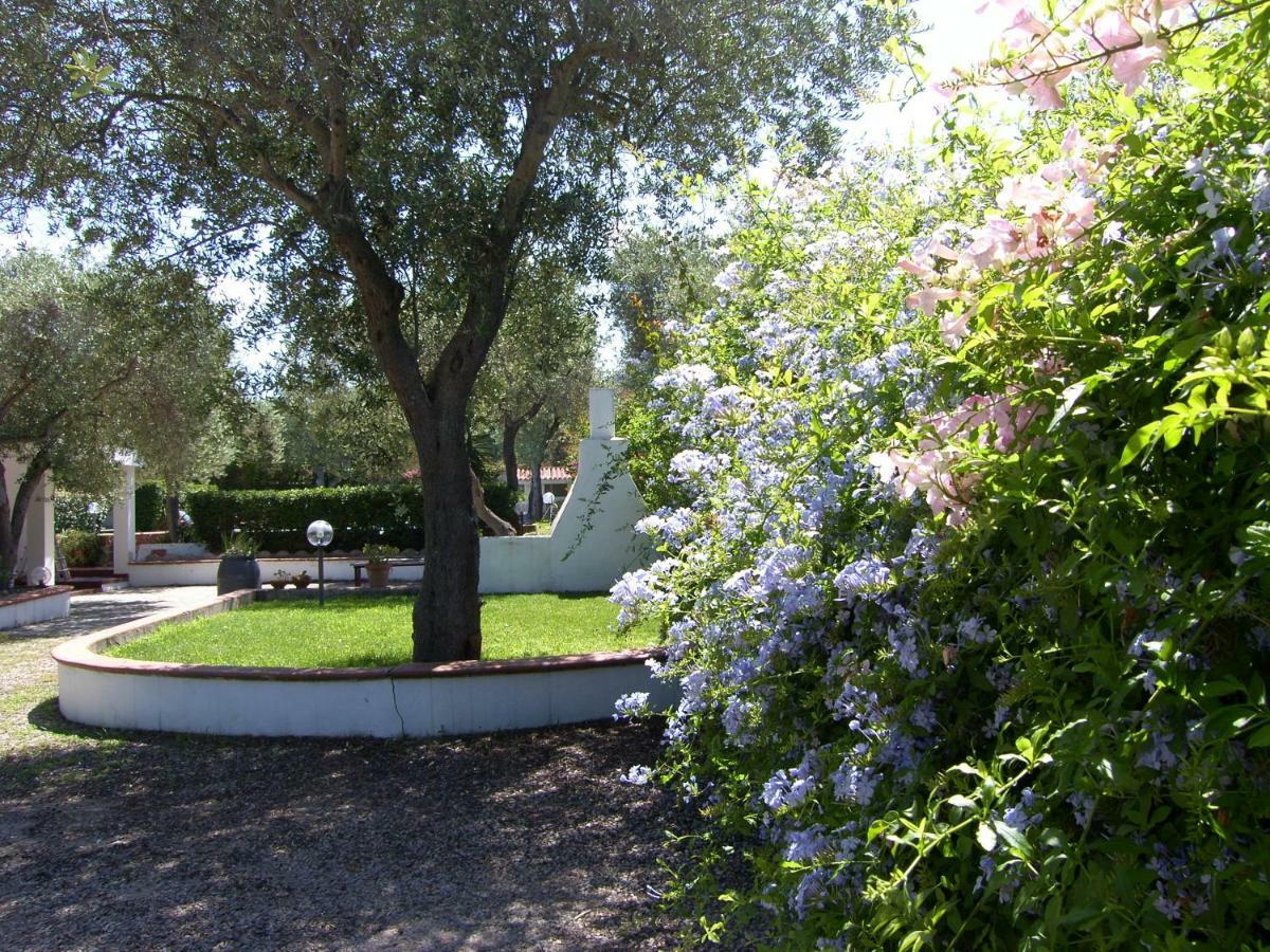 Villa Sarda Sorso Zewnętrze zdjęcie